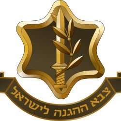 WhatsApp Image 2025-11-21 at 00.49.00 (1)